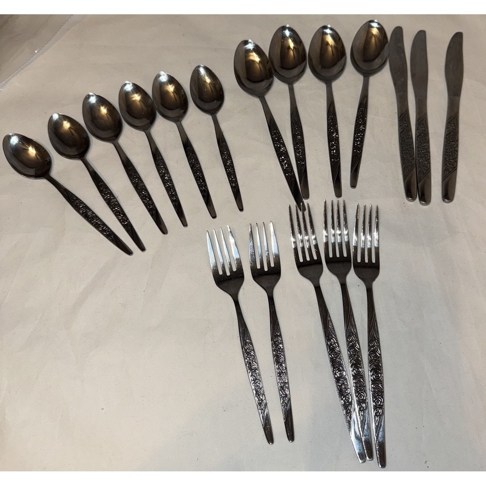 National CARESS Nasco ROSEVINE Floral Stainless Flatware Set‎ Of 18 **Read**